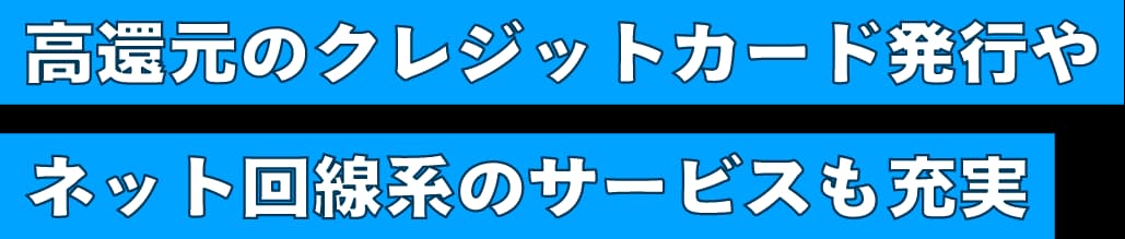 高還元のクレジットカード発行やネット回線系のサービスも充実